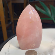 Load image into Gallery viewer, HQ Rose Quartz Drop Freeforms-2 to choose from!
