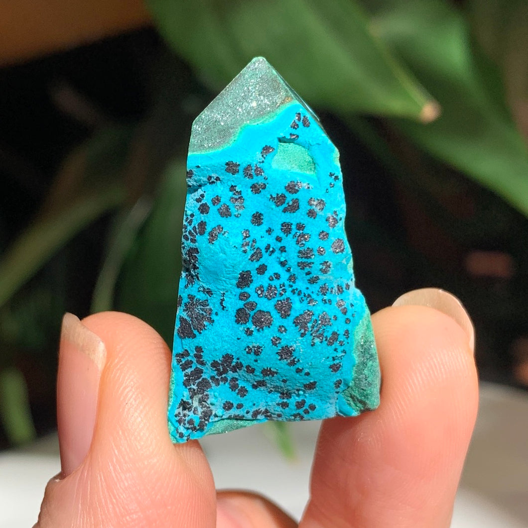 Malachite/Chrysocolla Mini Points-Several to choose from!