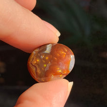 Load image into Gallery viewer, RARE Fire Agate cabs! 4 to choose from!
