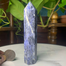 Load image into Gallery viewer, 4.5” Sodalite Point 100 grams
