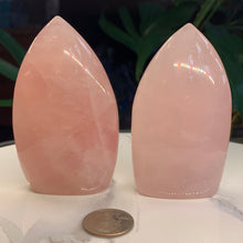 Load image into Gallery viewer, HQ Rose Quartz Drop Freeforms-2 to choose from!
