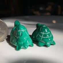 Load image into Gallery viewer, Malachite Turtle- 2 to choose from!
