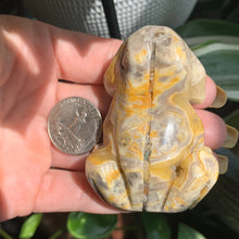 Load image into Gallery viewer, Crazy Lace Agate Frog 2.6” x 1.8”

