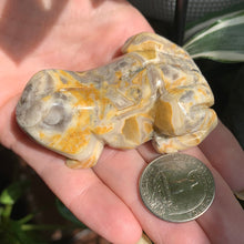 Load image into Gallery viewer, Crazy Lace Agate Frog 2.6” x 1.8”
