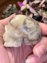 Load and play video in Gallery viewer, Crazy Lace Agate Small Skulls
