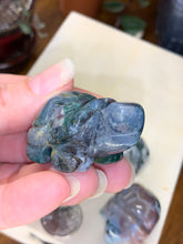 Load image into Gallery viewer, Small Turtles
