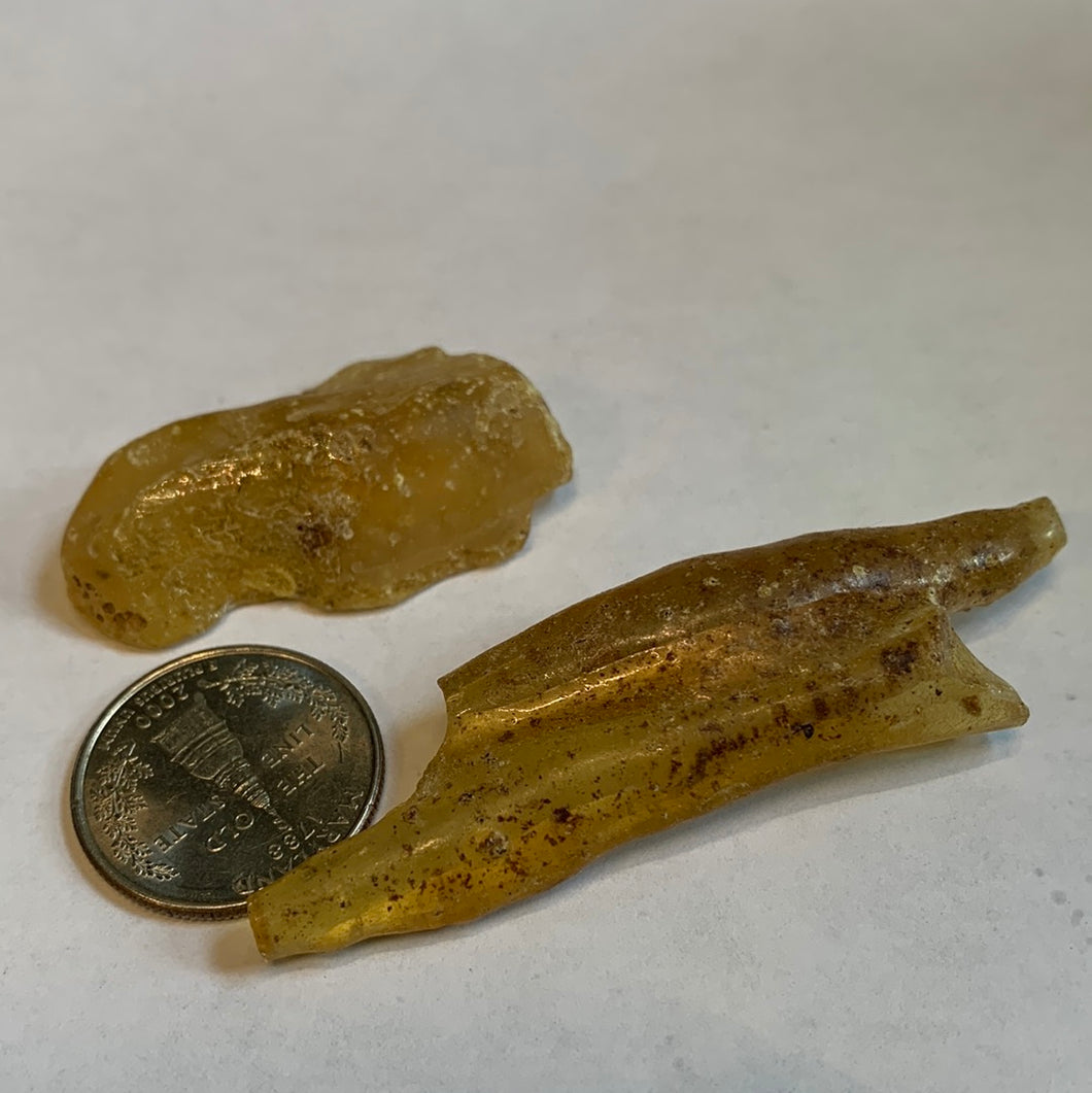 Larger raw Copal Amber specimens