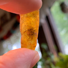 Load image into Gallery viewer, Small Amber Copal Raw specimens
