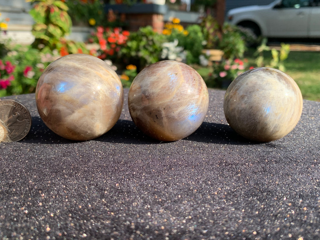 Blue Flash Moonstone/Sunstone  Spheres