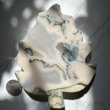 Load image into Gallery viewer, Moss Agate Leaf Dish
