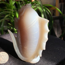 Load image into Gallery viewer, Agate Enhydro Fish Carving
