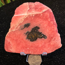Load image into Gallery viewer, AAA Rhodochrosite Slabs- Several sizes/prices
