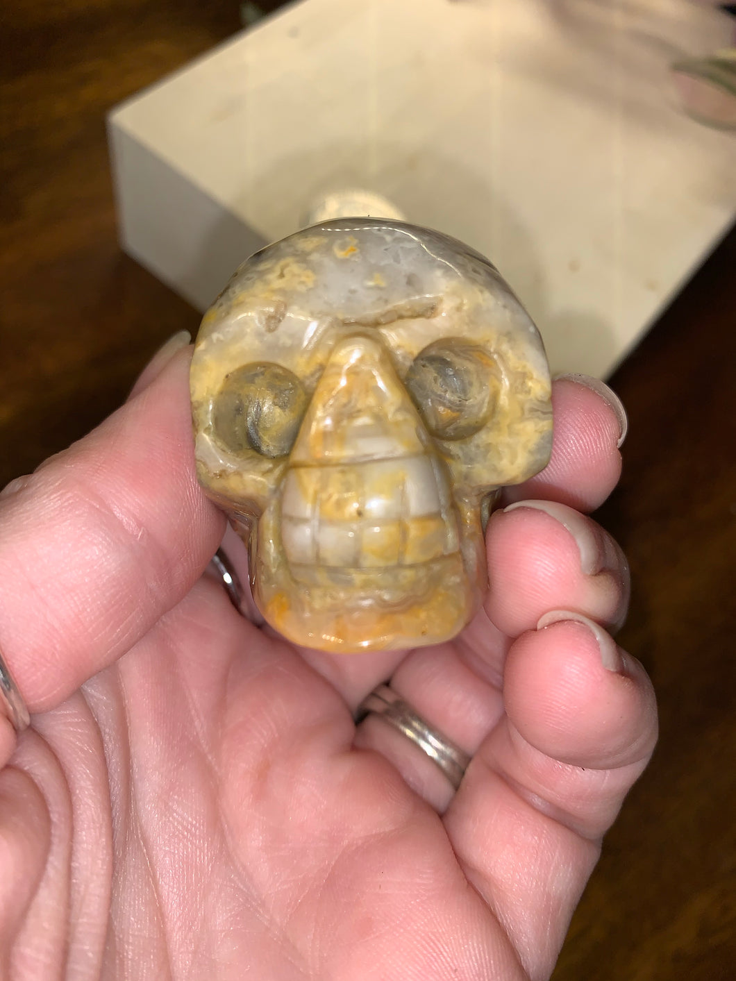 Crazy Lace Agate Small Skulls