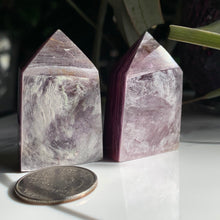 Load image into Gallery viewer, Gem Lepidolite Small Points
