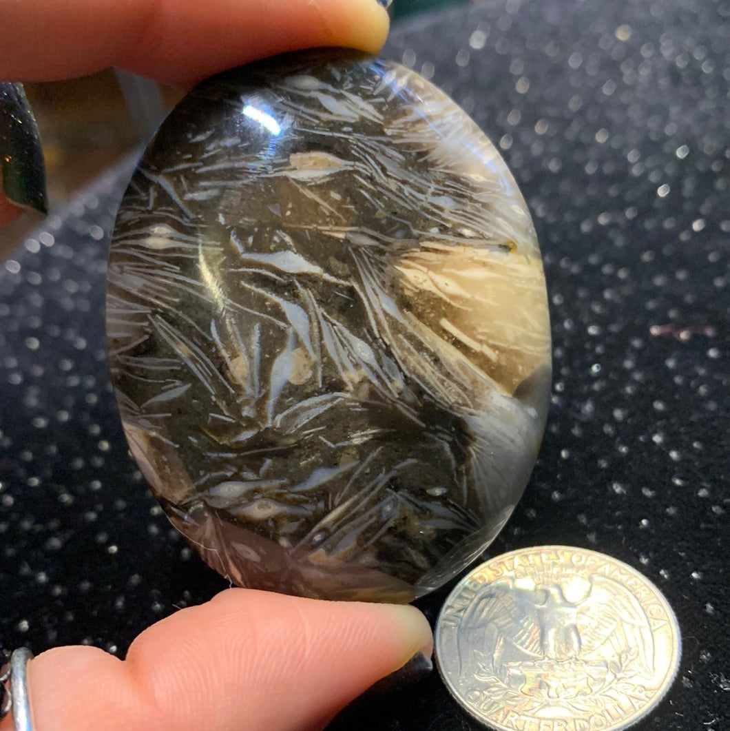 Feather Agate Palm Stone 46 grams