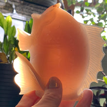 Load image into Gallery viewer, Agate Enhydro Fish Carving
