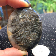 Load image into Gallery viewer, Feather Agate Palm Stone 46 grams

