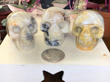 Load image into Gallery viewer, Crazy Lace Agate Small Skulls
