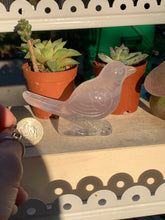 Load image into Gallery viewer, Beautiful Rainbow Fluorite Bird Carving
