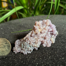 Load image into Gallery viewer, Grape Agate Specimens- Several sizes and prices
