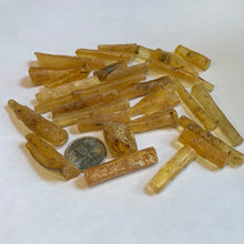 Load image into Gallery viewer, Small Amber Copal Raw specimens

