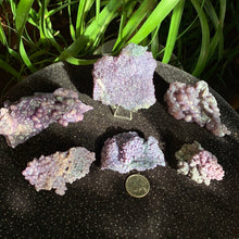 Load image into Gallery viewer, Grape Agate Specimens- Several sizes and prices
